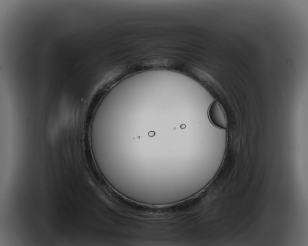 X0000086030735200703230954