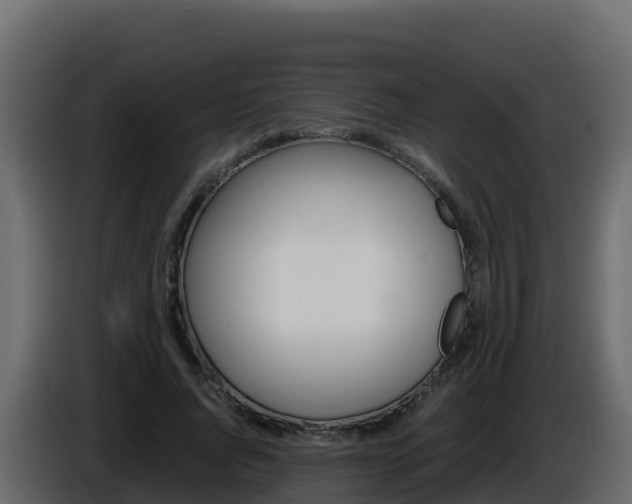X0000086030736200703230954