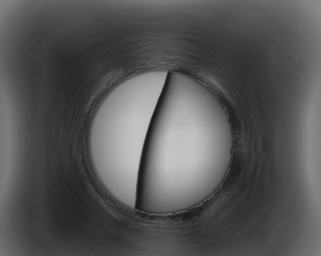 X0000086030738200703230954