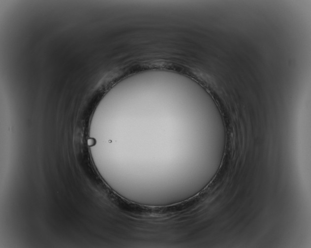 X0000086030739200703230954
