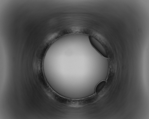 X0000086030740200703230954