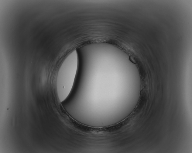 X0000086030742200703230954