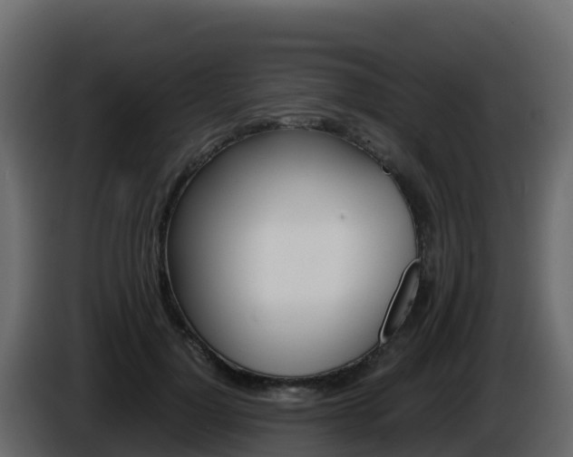 X0000086030748200703230954