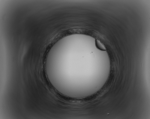 X0000086030751200703230954