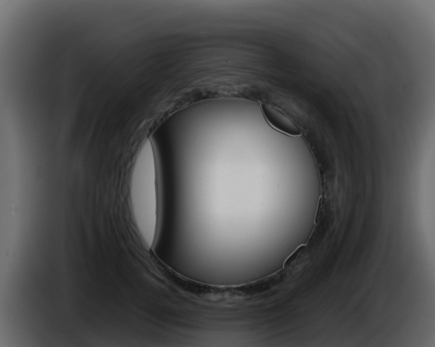 X0000086030752200703230954