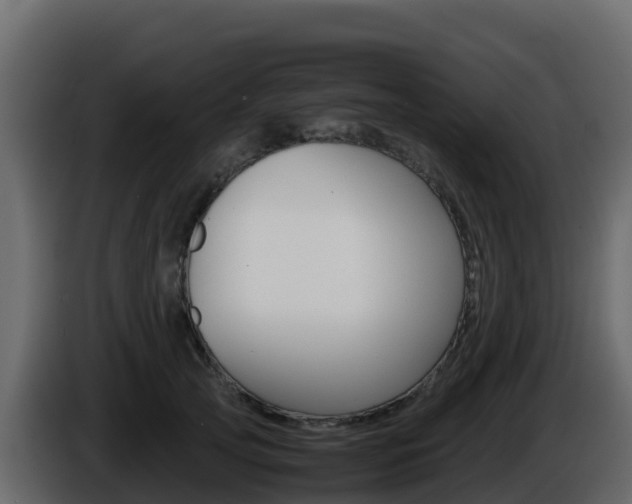 X0000086030753200703230954