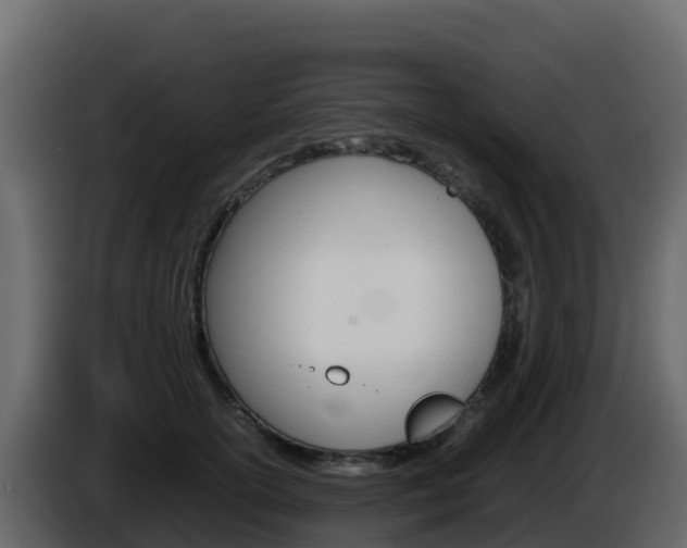 X0000086030754200703230954