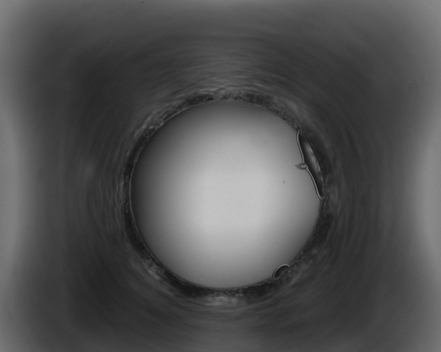 X0000086030756200703230954