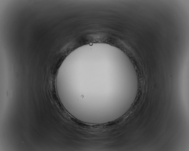 X0000086030757200703230954