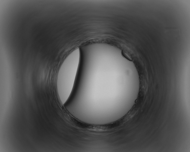 X0000086030758200703230954
