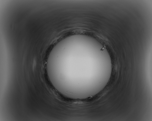 X0000086030759200703230954