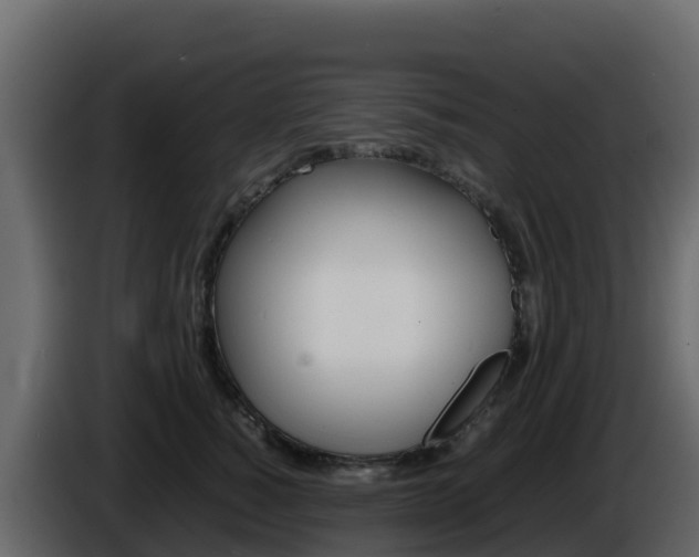 X0000086030760200703230954
