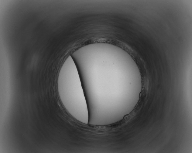 X0000086030761200703230954