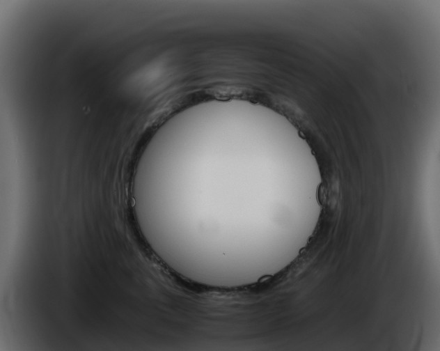 X0000086030763200703230954