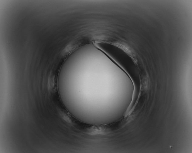 X0000086030764200703230954