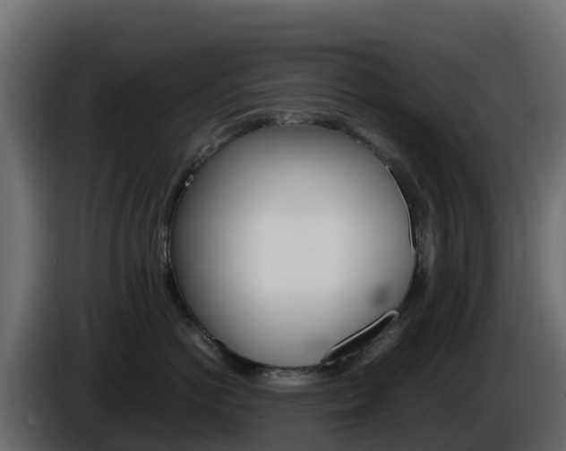 X0000086030766200703230954