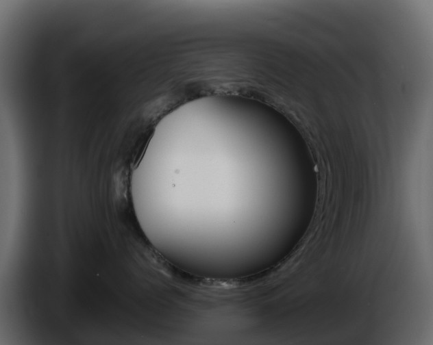 X0000086030768200703230954