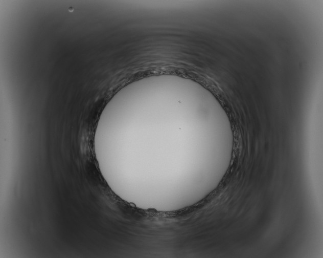 X0000086030770200703230954