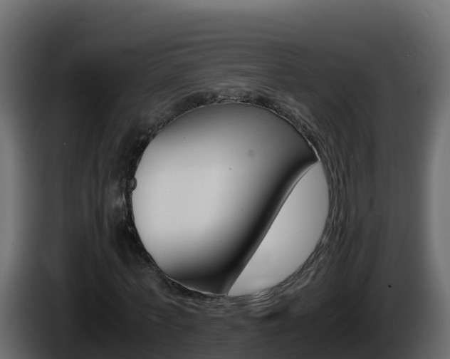 X0000086030771200703230954