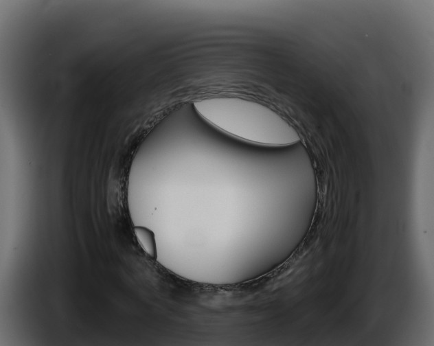 X0000086030772200703230953