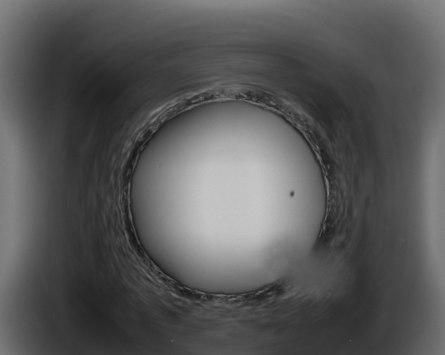 X0000086030773200703230953