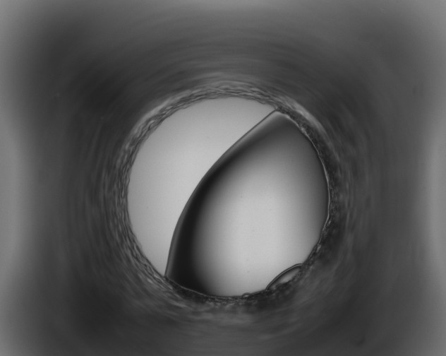X0000086030775200703230953