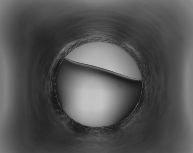 X0000086030776200703230953