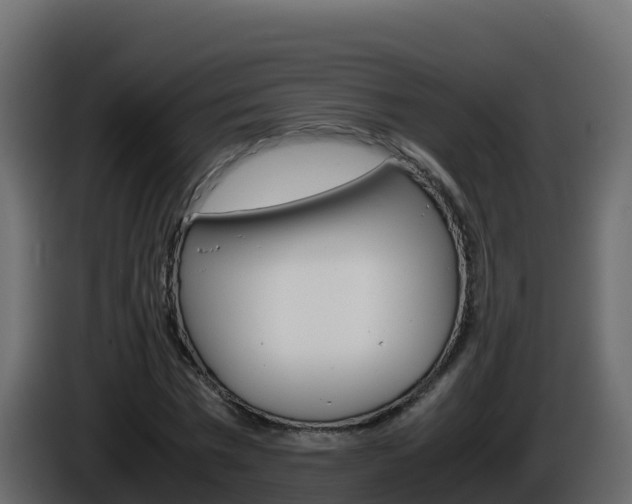 X0000086030777200703230953