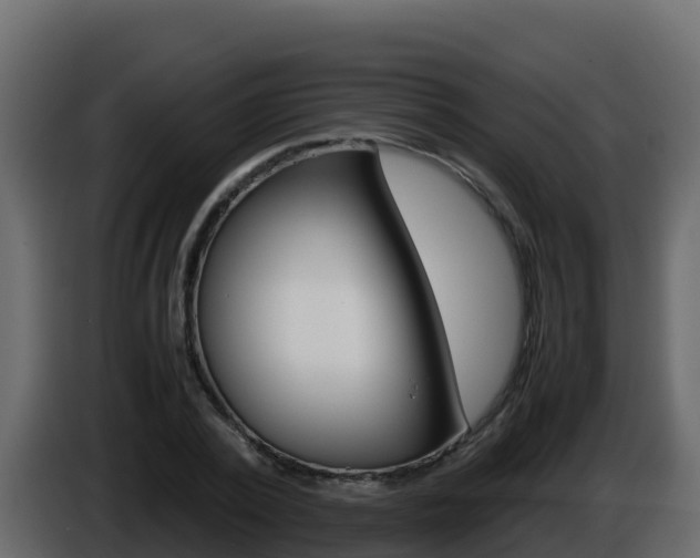 X0000086030784200703230953