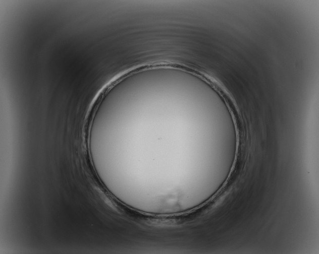 X0000086030789200703230953