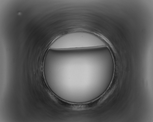 X0000086030793200703230953