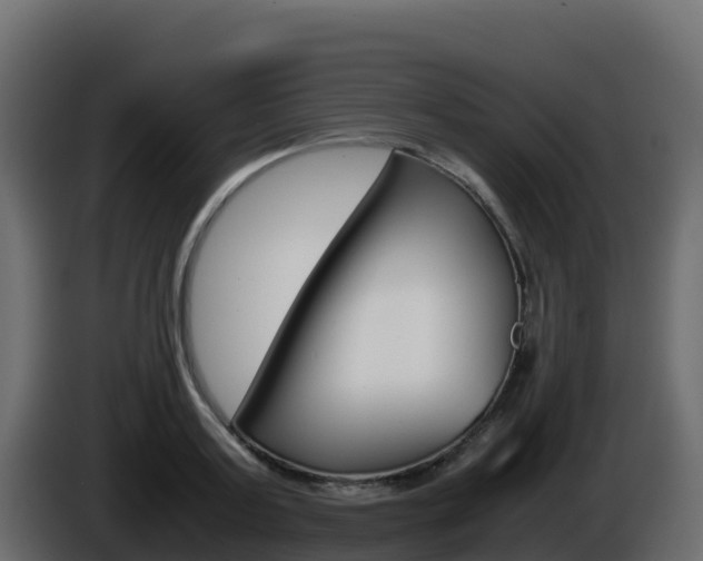 X0000086030795200703230953