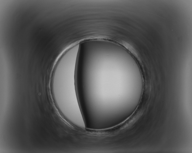 X0000086030797200703230953