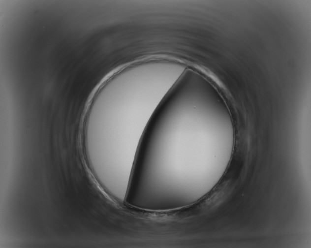 X0000086030799200703230953