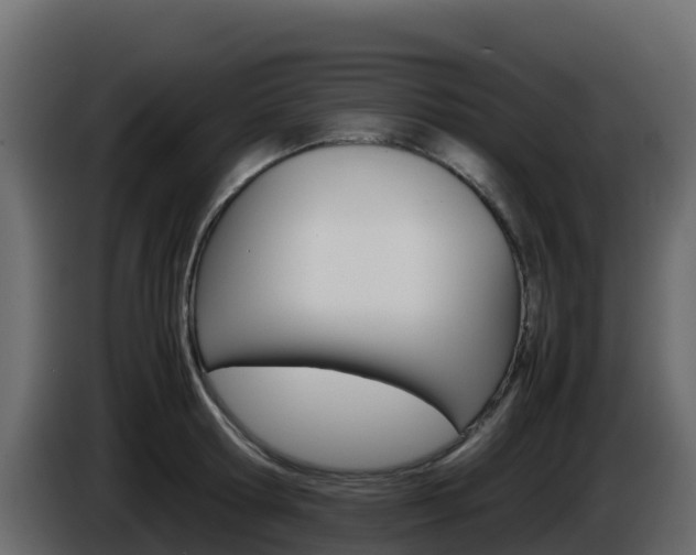 X0000086030802200703230953