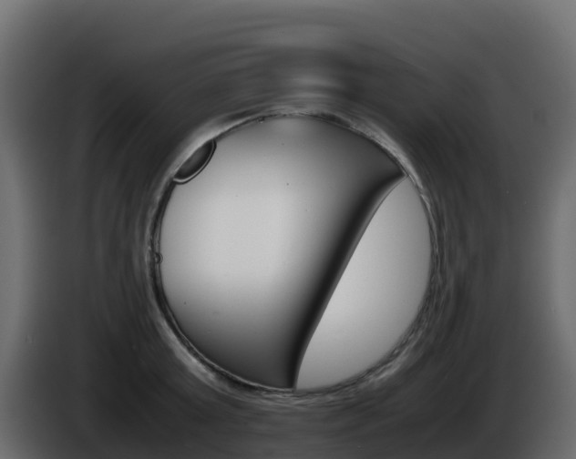 X0000086030803200703230953