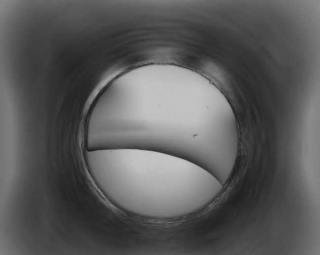 X0000086030804200703230953