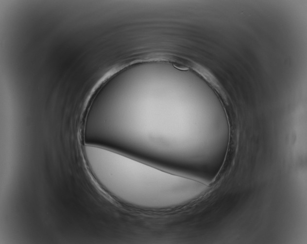 X0000086030805200703230953