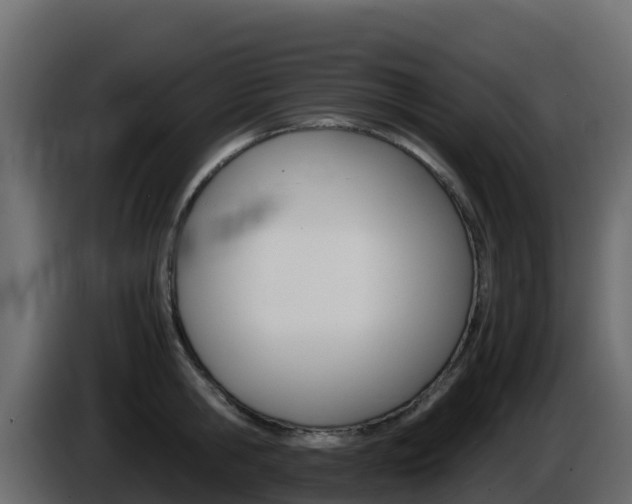 X0000086030806200703230953