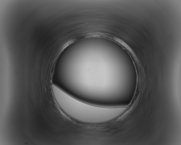X0000086030809200703230953