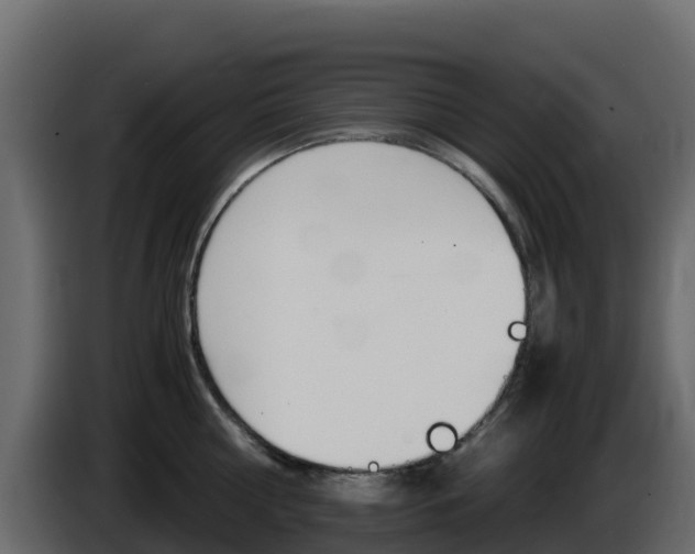 X0000086030810200703230953