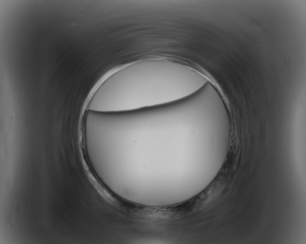 X0000086030811200703230953