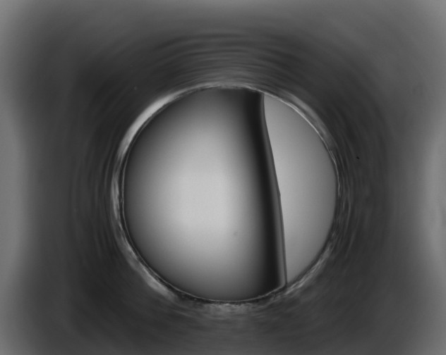 X0000086030812200703230953