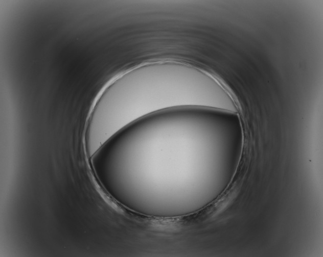 X0000086030813200703230953