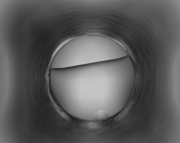 X0000086030814200703230953
