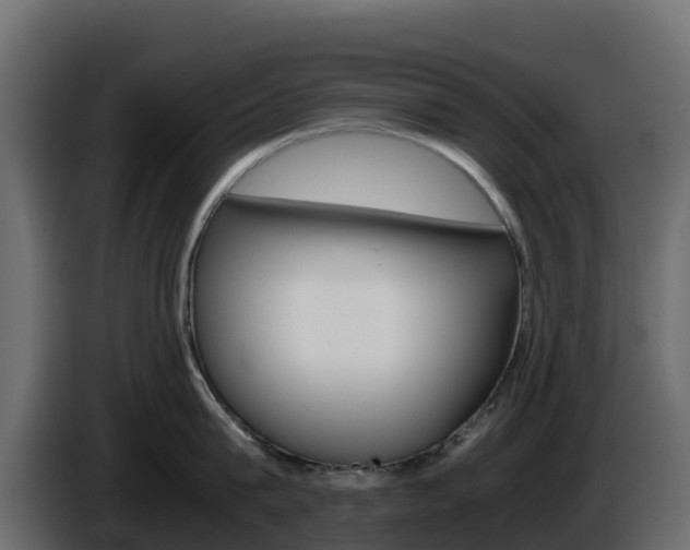 X0000086030815200703230953