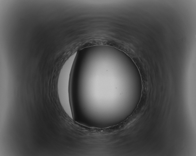 X0000086030818200703230952
