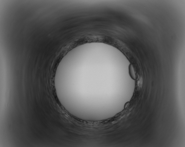 X0000086030819200703230952