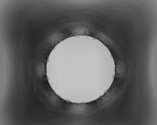 X0000086030820200703230952