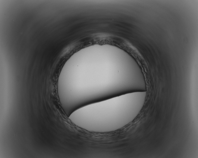X0000086030823200703230952